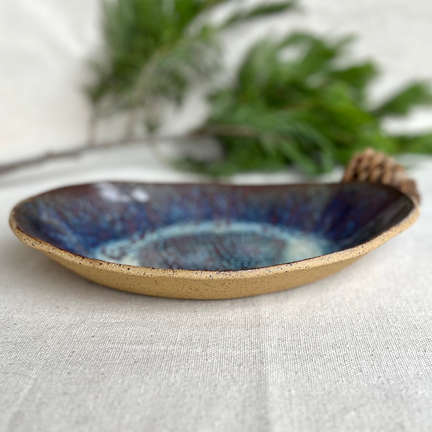 Galaxy Serving Dish